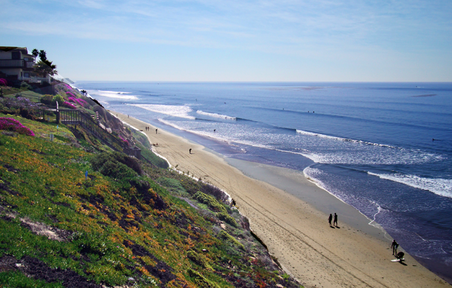 Ocean View Homes