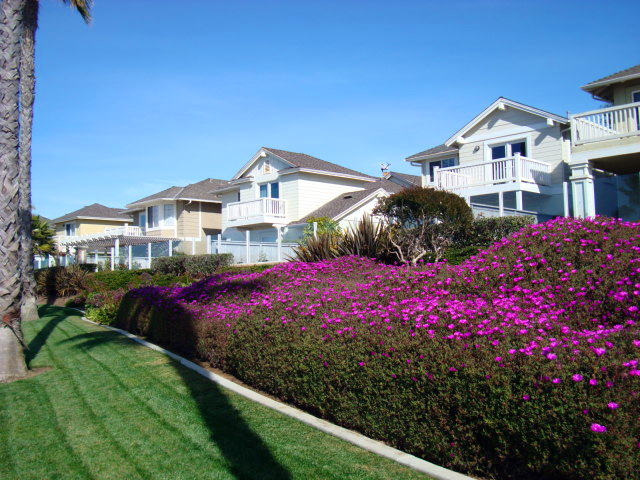 Hanover Beach Ocean View Homes